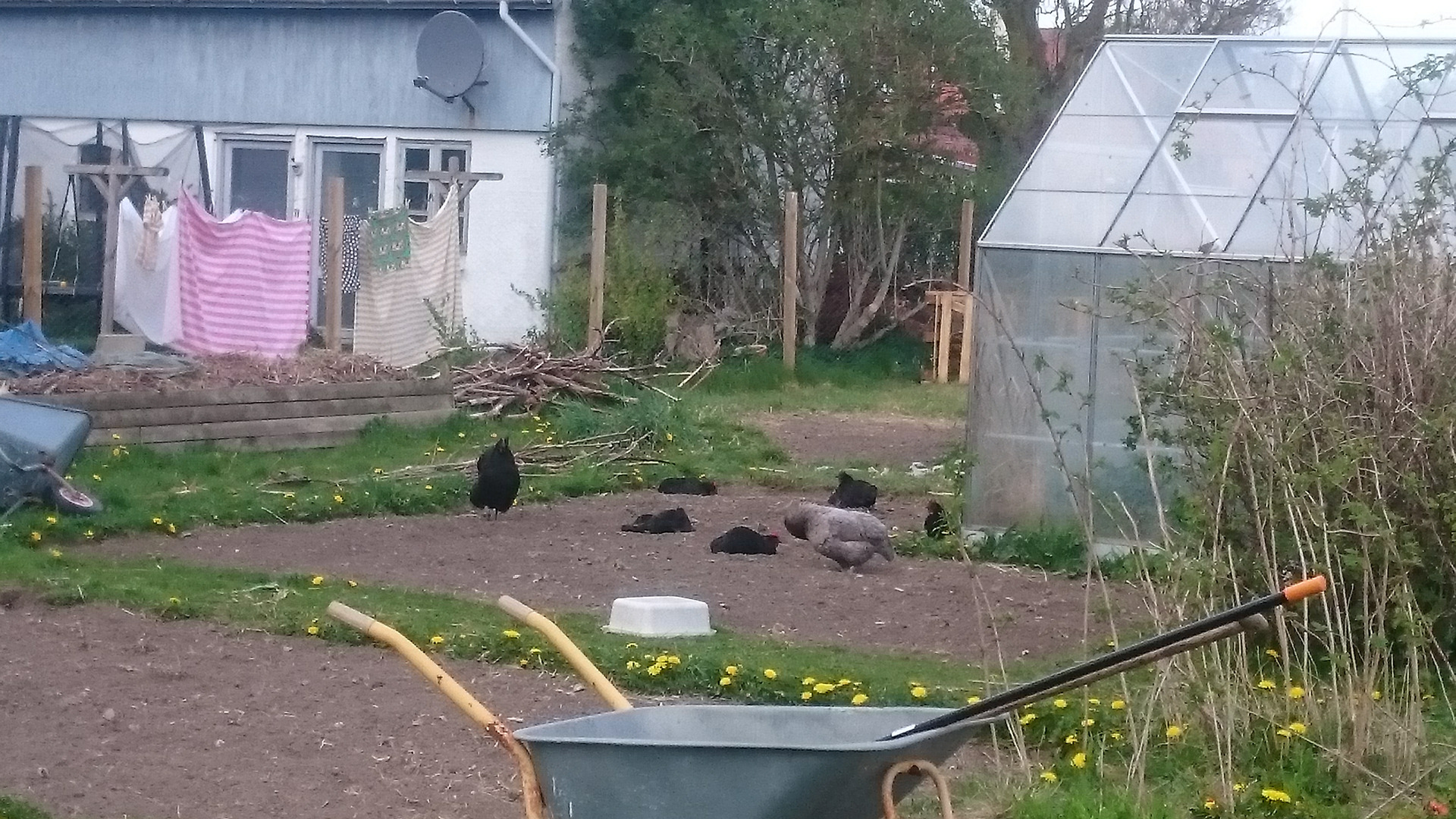 Selvforsygningshaven